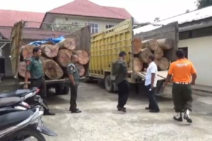 Angkut Kayu Ilegal dari Hutan Aceh, 2 Truk Ditangkap Petugas Gabungan