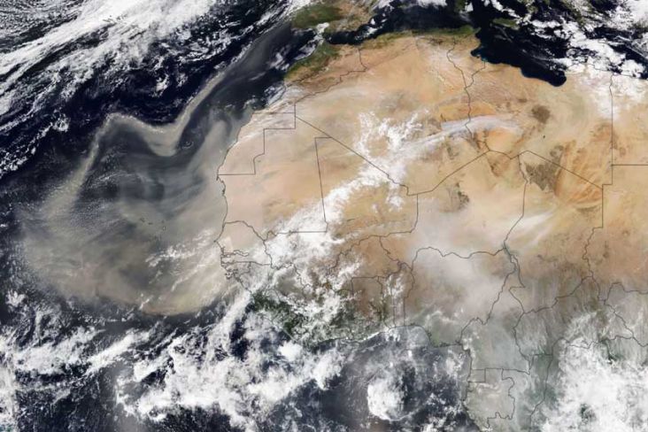 Gumpalan Debu Gurun Sahara Melintasi Samudra Atlantik, Efeknya Terasa sampai Hutan Amazon