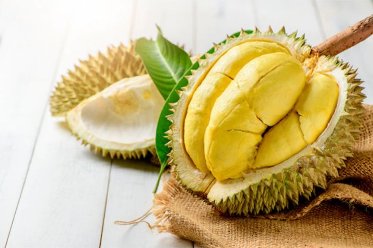 Apakah Durian Menyebabkan Kolesterol Tinggi? Ini Faktanya