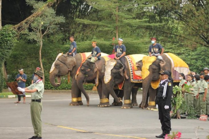 Ketika Gajah, Trenggiling Berbaris Ikuti Upacara HUT Ke-77 RI di Bali