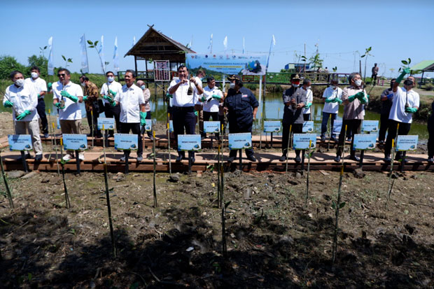 Tiga Menteri Ikut Penanaman Dukung Rehabilitasi Kawasan Mangrove