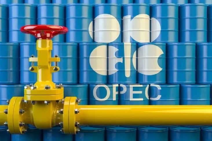 Harga Minyak Mentah Naik, Usai Arab Saudi Minta OPEC Pangkas Produksi