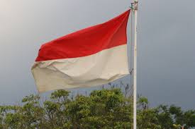 Pelaku Pembakaran Bendera Merah Putih di Aceh Dibekuk, Ternyata Ini Motifnya
