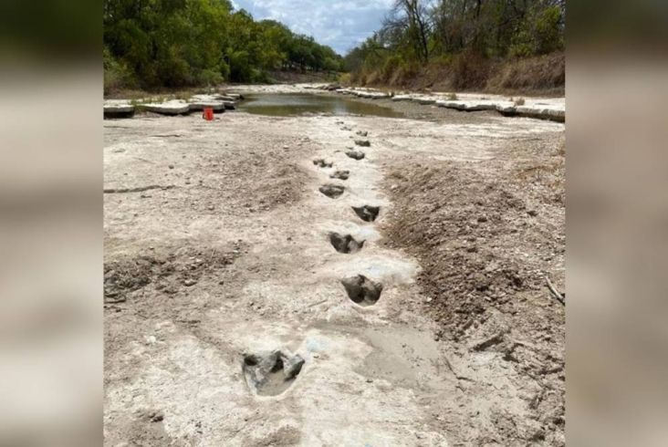 Jejak Kaki Reptil Raksasa Muncul di Sungai yang Mengering