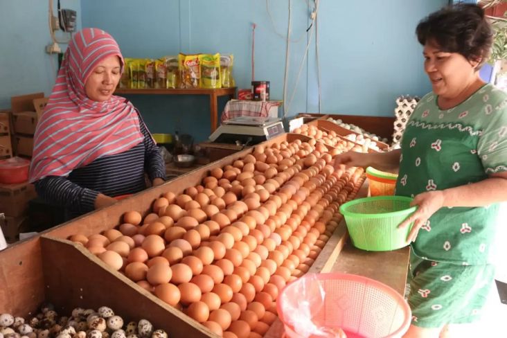 Masih Mahal, Harga Telur di Jakarta Hari Ini Tembus Rp33.000 per Kg