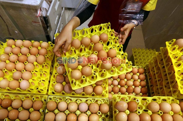 Stabilkan Harga Telur, Bapanas Guyur Subsidi Distribusi