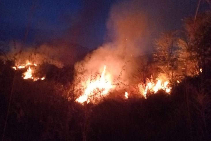 Kobaran Api Lalap 7,25 Hektare Hutan Gunung Ciremai, Petugas Selidiki Pemicu Kebakaran