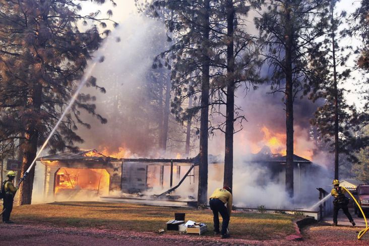 Kebakaran Hutan Dahsyat Landa California, 100 Rumah Hancur