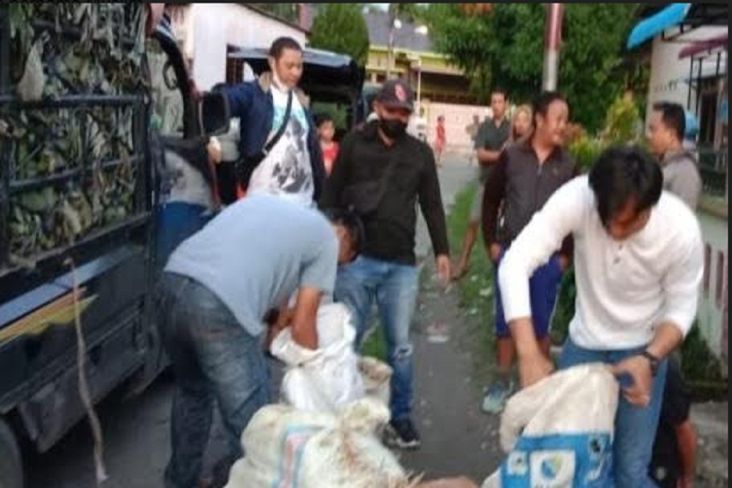 Selundupkan 71 Kg Ganja, 4 Warga Aceh Ditangkap Polisi di Medan