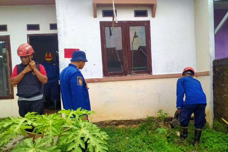 Damkar Evakuasi Anak dan Telur Ular Kobra di Tajur Halang Bogor