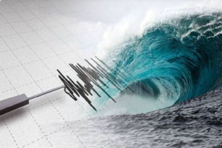 Mamberamo Papua Diguncang Gempa Tektonik 4 Kali, BMKG Sebut Tidak Berpotensi Tsunami
