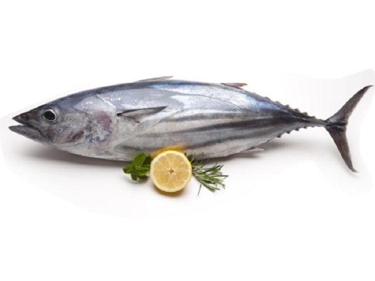 Apakah Ikan Tongkol Mengandung Kolesterol? Ini Penjelasannya
