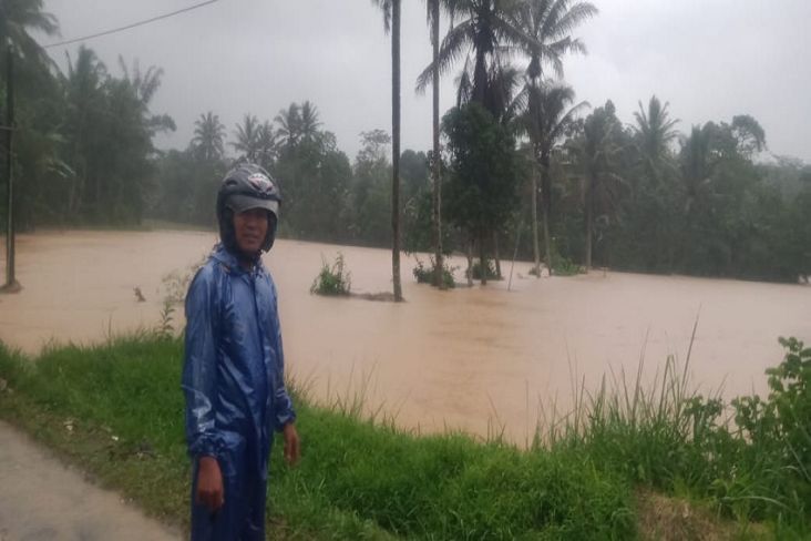 Hujan Deras Sebabkan Banjir dan Longsor di Sukabumi, 19 Hektare Sawah Terancam Gagal Panen