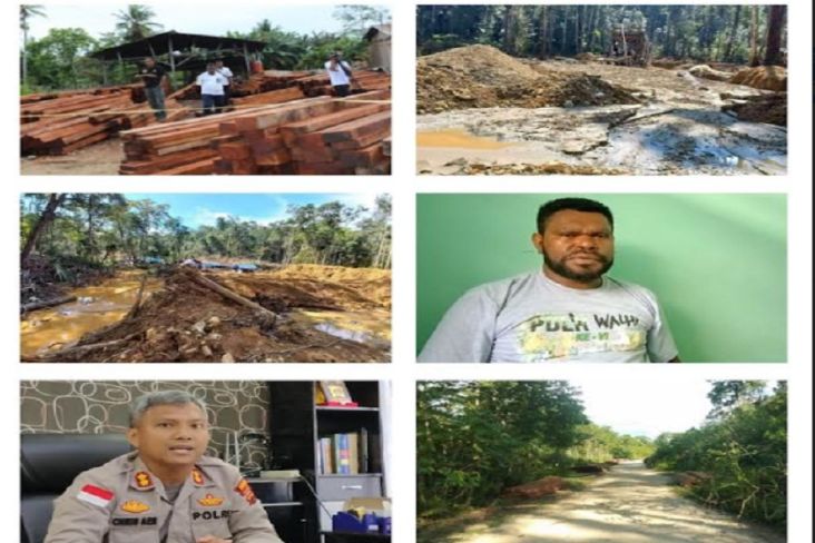 Aktivitas Perambahan Hutan di Keerom Marak, Walhi Papua Minta Presiden Turun Tangan