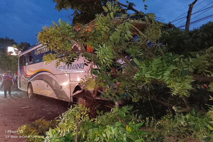 Nahas! Bus Pariwisata Rombongan Guru SMP Negeri 1 Pelabuanratu Tabrak Pohon di Cianjur