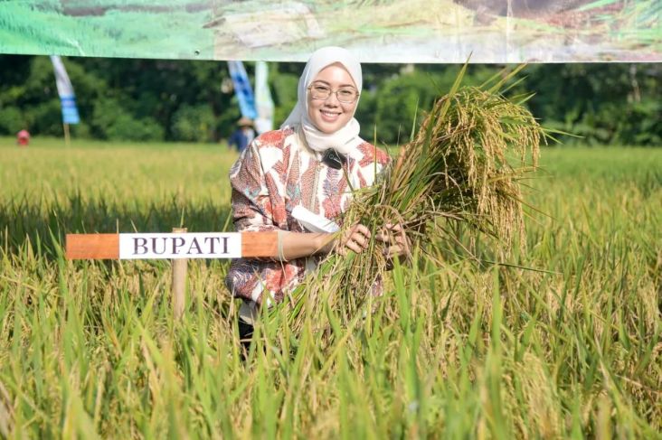 Bupati Purwakarta Anne Ratna Mustika Gugat Cerai Dedi Mulyadi Setelah 19 Tahun Menikah