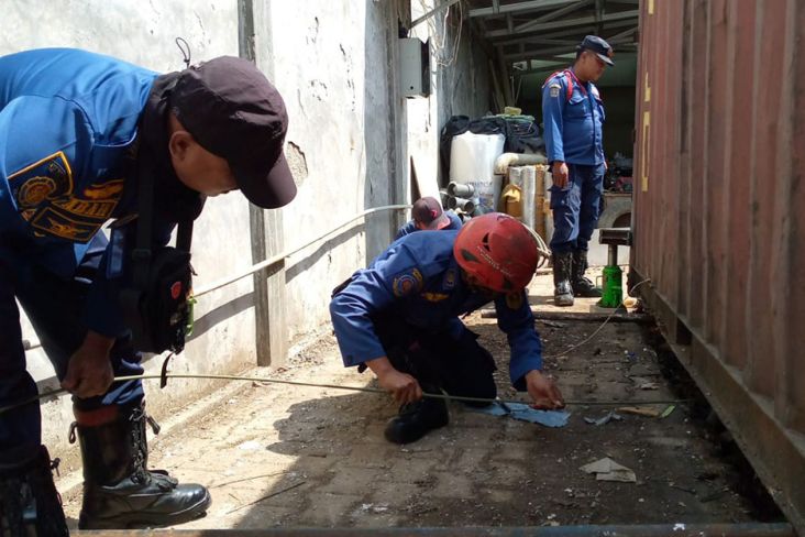 Damkar Bogor Evakuasi Ular Sanca 4 Meter dalam Kontainer