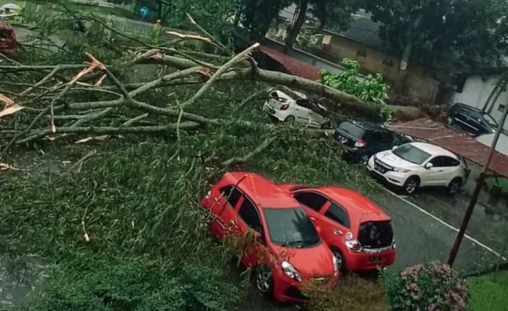 Pohon Tumbang Timpa Sejumlah Mobil di RSUP Adam Malik Medan