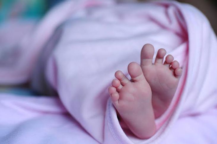 Jual Beli Bayi di Bogor, 1 Anak Dihargai Rp15 Juta