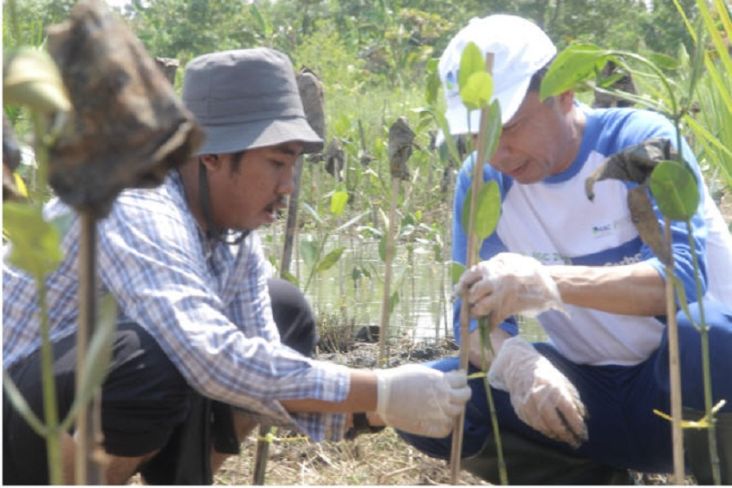 Gandeng Untirta, Program Mangrove Blue Carbon Dimulai di Banten