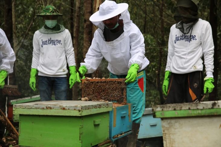 Pengembangan Ekonomi Warga lewat Budi Daya Lebah Hutan