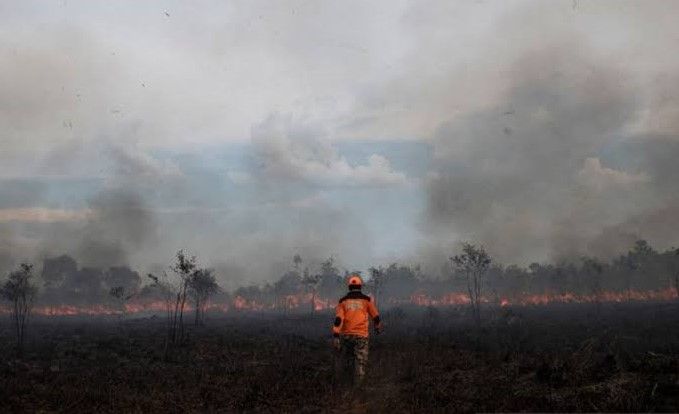 5 Hektare Lahan Semak Belukar di Ogan Ilir Terbakar