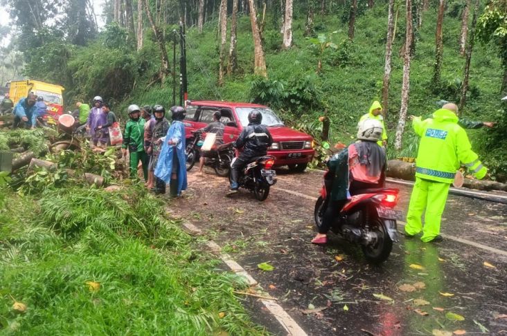 1 Tewas dan 2 Terluka, Ini Daftar Korban Pohon Tumbang di Jalur Malang-Kediri