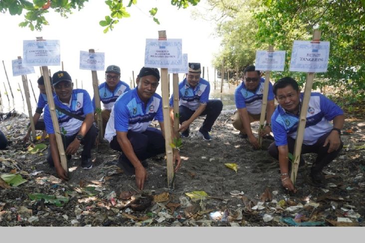 Politeknik Pelayaran Banten Gelar Penyuluhan dan Tanam 3.000 Mangrove untuk Cegah Abrasi