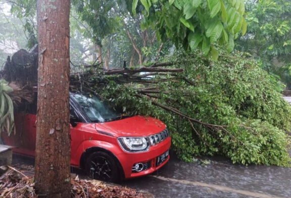 Hujan Badai Akibatkan Sejumlah Titik di Bandung Terendam, Pohon Tumbang Timpa Mobil
