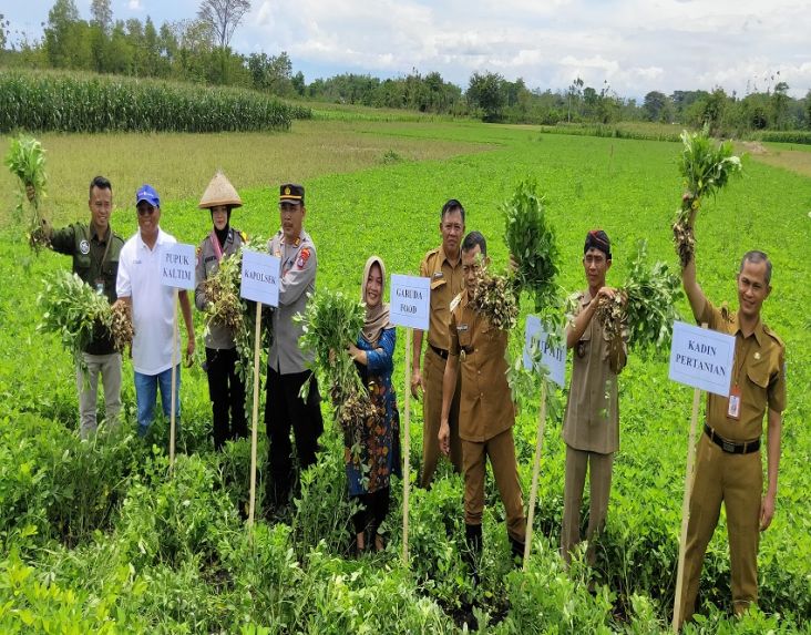 Tindaklanjut Agrosolution di Ponorogo, Pupuk Kaltim Edukasi Petani Pembuatan Kompos