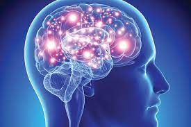 Ilmuwan Sukses Tanam Sel Otak Manusia ke Otak Tikus