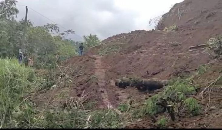 Tebing 30 Meter di Cilacap Longsor, Jalan Penghubung Antarkecamatan Lumpuh
