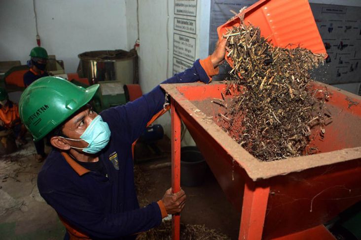 Indonesia Butuh 10 Juta Ton Sampah Biomassa per Tahun, Buat Apa?