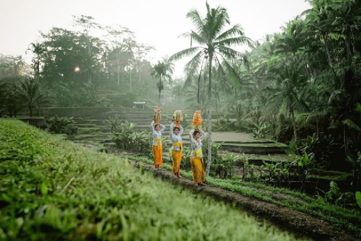 Pariwisata Bali Kembali Bergairah, Properti Hunian Mewah Dapat Berkah