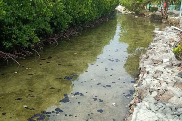 Tumpahan Minyak di Perairan Kepulauan Seribu Ancam Kelestarian Lingkungan