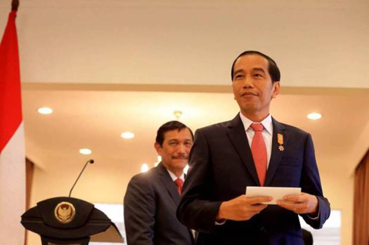 Jokowi Bentuk Tim Penyelesaian Ketidaksesuaian Kawasan Hutan, Ada Menko Luhut
