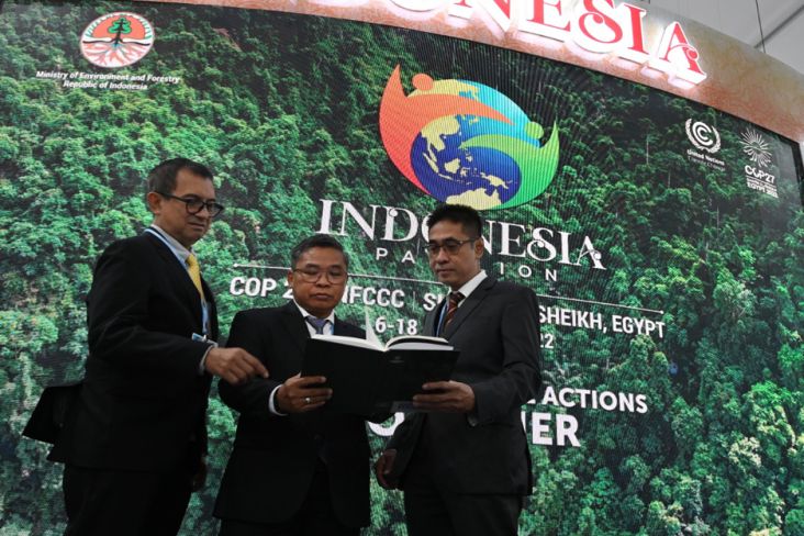 Ini Langkah Indonesia Kurangi Emisi Karbon dari Sektor Kehutanan Penggunaan Lahan