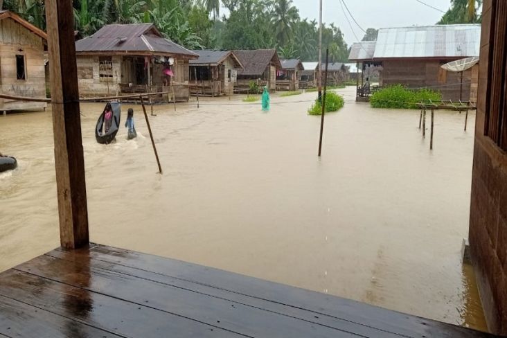 222 Rumah di Mentawai Masih Terendam Banjir, Aktivitas Warga Lumpuh