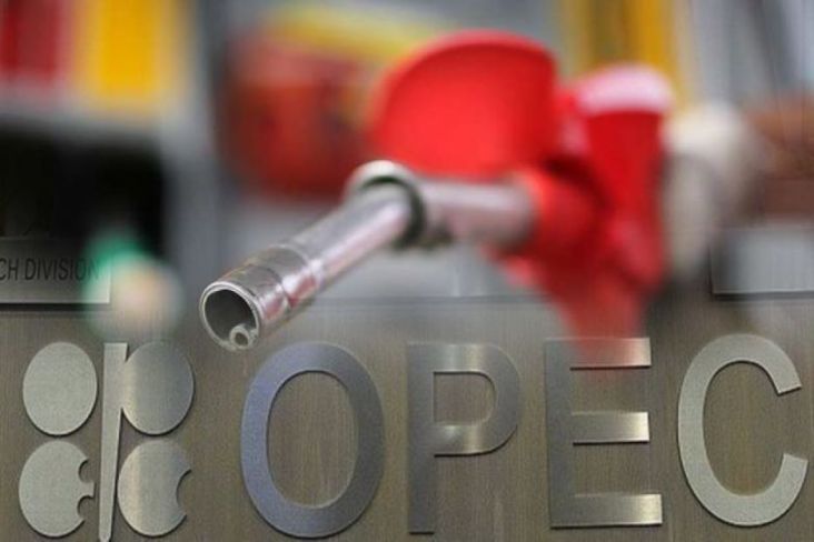 OPEC Pangkas Proyeksi Permintaan Global, Harga Minyak Terjungkal