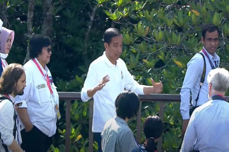 Kenakan Jeans dan Kemeja Putih, Jokowi Pagi-pagi Tanam Mangrove di Tahura Ngurah Rai Bali