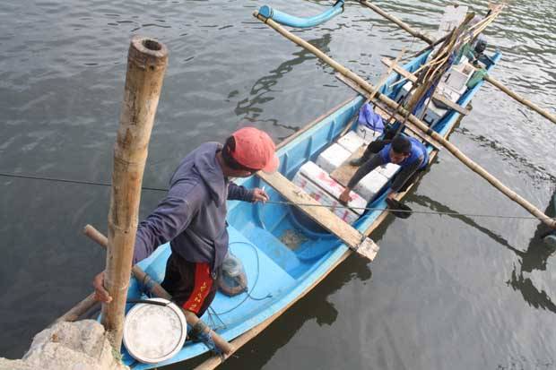 Hasil Melaut Terus Menurun, Nelayan di Kepulauan Seribu Alih Profesi