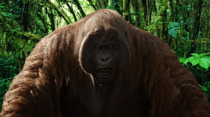 Temuan Orangutan Setinggi 3 Meter di Indonesia Mirip dengan Bigfoot dan Yeti