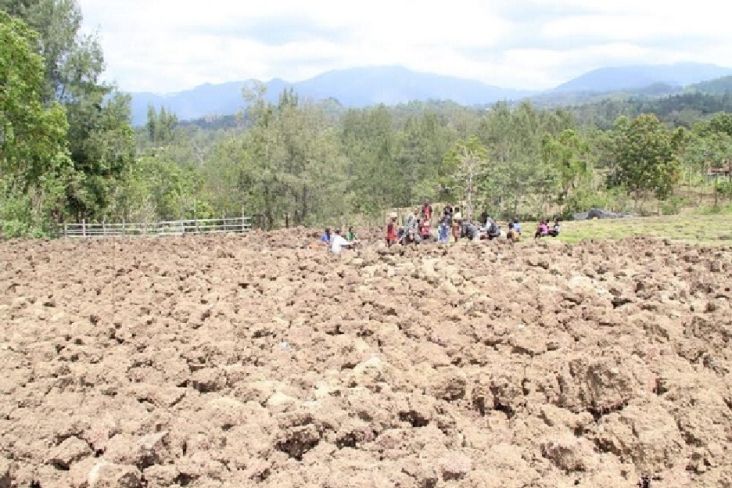 Gara-gara Harga Sewa, Puluhan Ribu Hektare Lahan di Jabar Menganggur