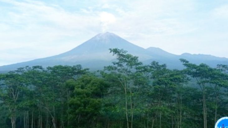 Gunung Semeru Kembali Erupsi, Lontarkan Abu Setinggi 700 Meter
