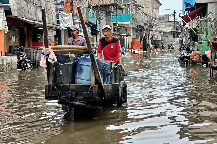 Banjir Rob 70 Cm Terjang Muara Angke, Aktivitas Warga Lumpuh