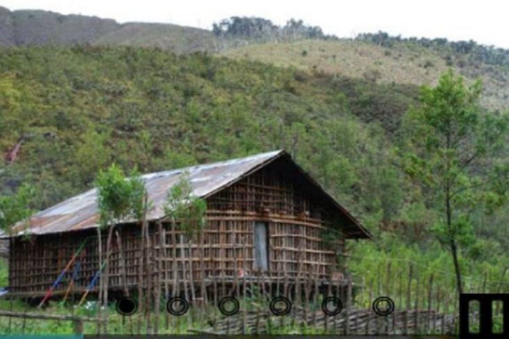Rumah Adat di Indonesia Tahan Gempa, Nomor 1 Rumah Kaki Seribu dari Papua Barat