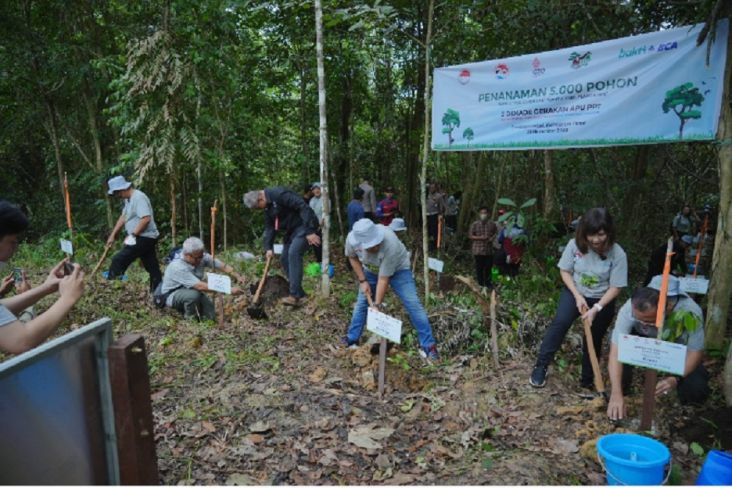 12,5 Hektare Lahan Konservasi Orangutan di Kaltim Direhabilitasi dengan Menanam 5.000 Pohon