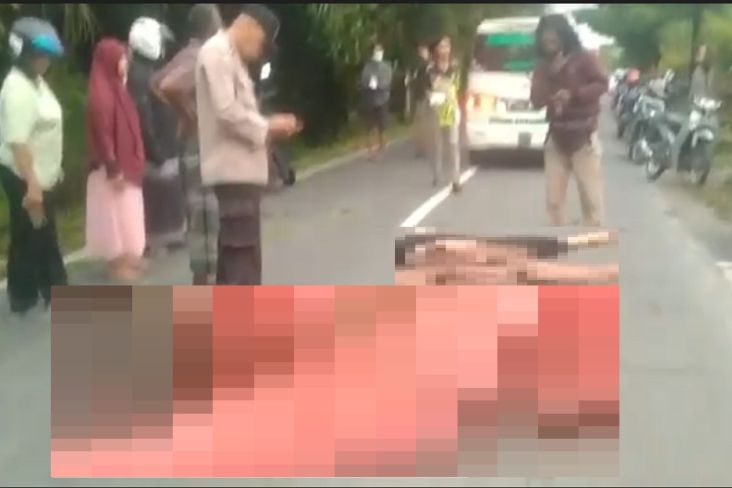 Tragis! 2 Pemotor di Palangkaraya Tewas Tabrak Pohon Tumbang