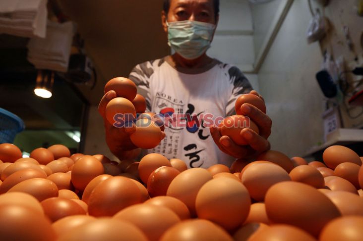 Harga Beras dan Telur di Jakarta Naik Jelang Nataru, Ini Penyebabnya