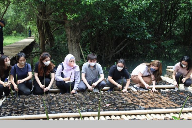 Peduli Kelestarian Lingkungan, Universitas Prasetiya Mulya Tanam 1.454 Bibit Mangrove